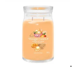 Yankee Candle Mango Ice Cream Signature Large Jar 567G