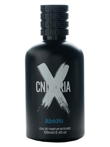 קנידריה X אבסולו סמאם  א.ד.פ אינטנס 100 מ״ל - Cnidaria X Absolu Samam EDP Intense 100ML