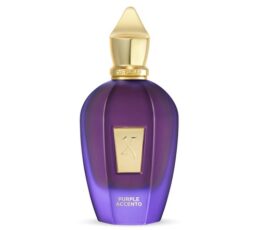 קסרגוף פרפל אסנטו אדפ 100 מ”ל - Purple Accento Xerjoff EDP 100ML